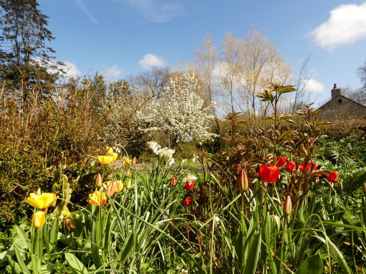 Bed and Breakfast Domaine De La Cour Vautier Mandeville-en-Bessin Exterior foto